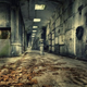 Illustration for article titled This abandoned tomb in Belgium would be the perfect set for a horror movie